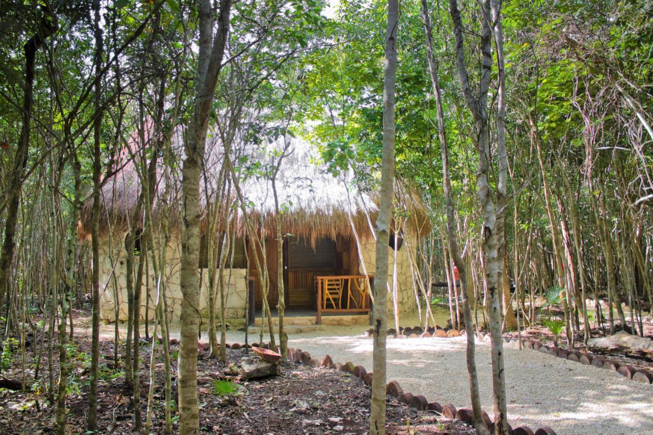 Aldea Maya-Ha Cabañas con cenotes Puerto Morelos Exterior foto