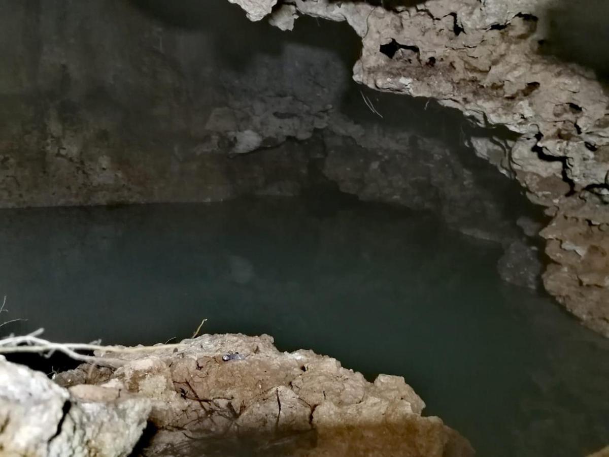 Aldea Maya-Ha Cabañas con cenotes Puerto Morelos Exterior foto